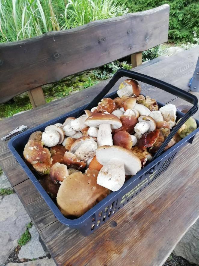 Chata Venda Lipno nad Vltavou Εξωτερικό φωτογραφία